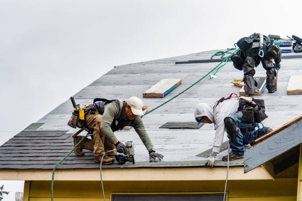 Professional Gutter Installation technician working in Pine Island, NY